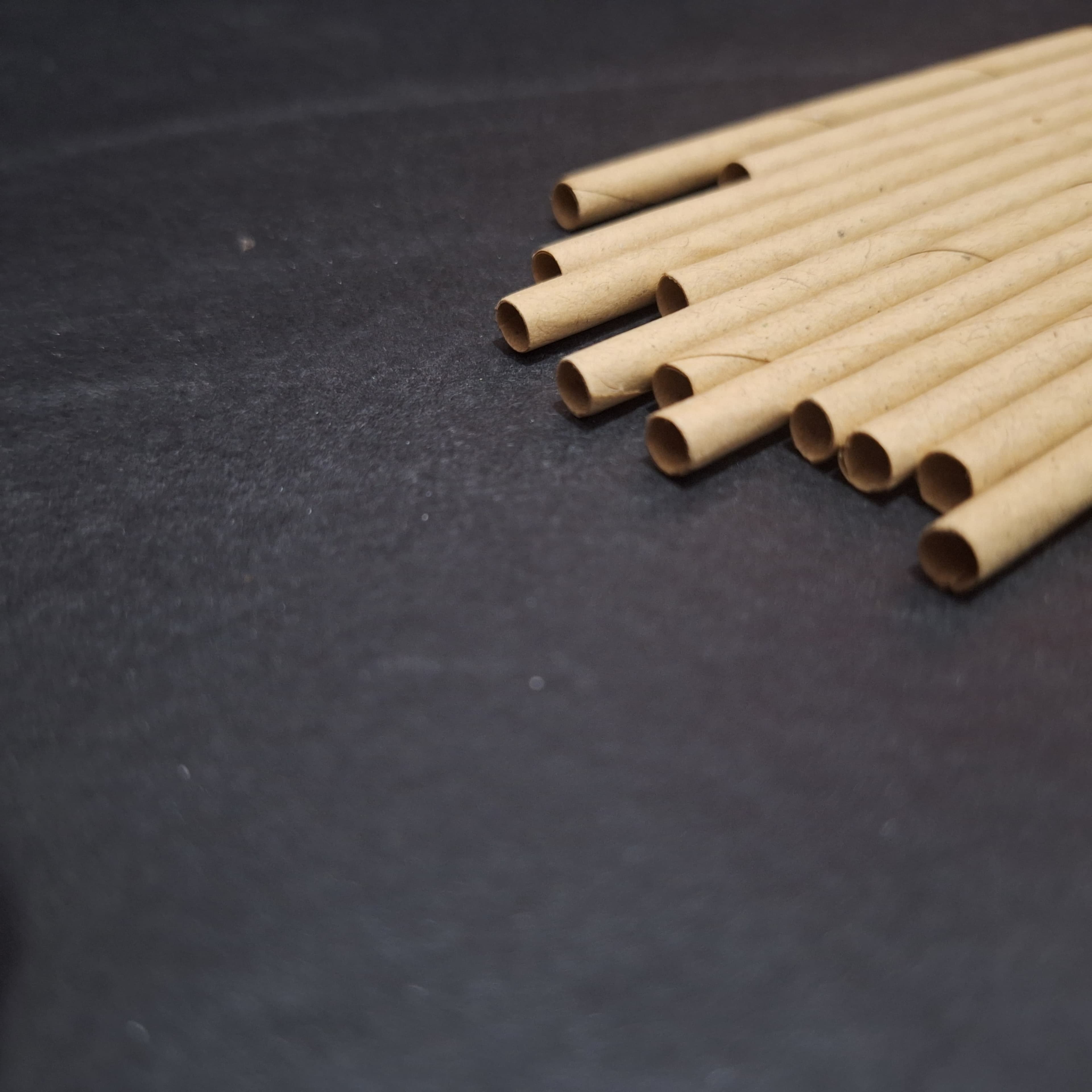 Paper Straw 2