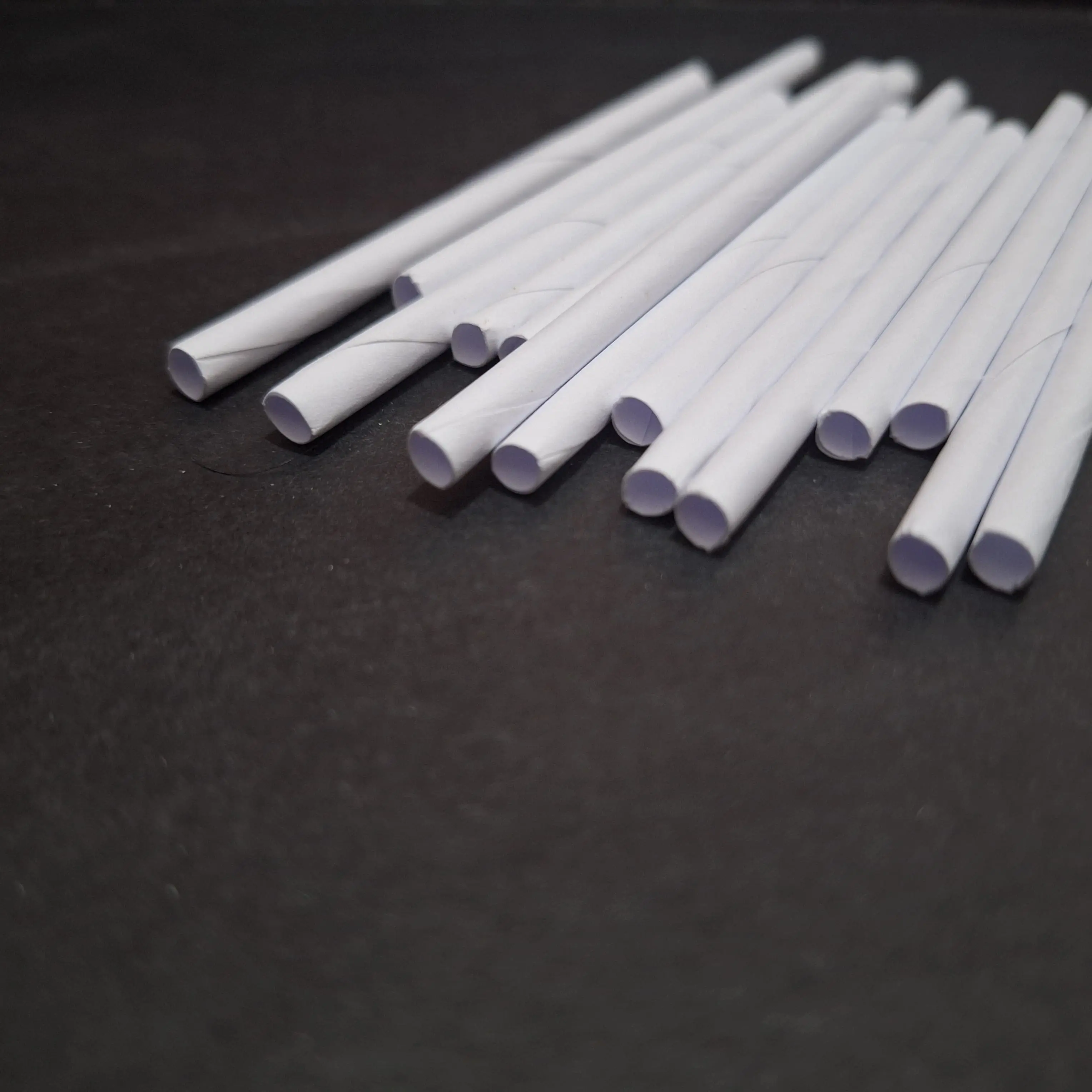 Paper Straw 1