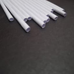 White Paperstraw